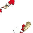 PadoHop2