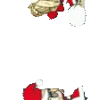 PadoHop7