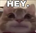 hey