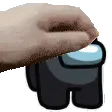 pet_among