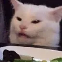 Catbruh catbruh Discord Emoji