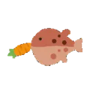 Pufferfish