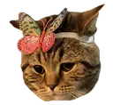 Kitty kitty Discord Emoji