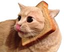 SCbread SCbread