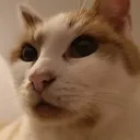 SCdisgusted