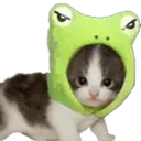 SCbebbyfrog