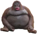 monke