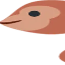 monkeyhead