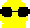 sunglasser