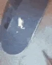 frogflip