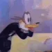 AWOOGA