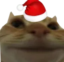 SantaCat SantaCat