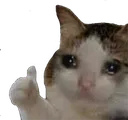 pain6