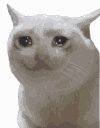 SadGlizz2 Discord Emoji