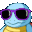 cool_squirtle