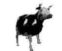 polishCow Discord emoji