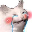 cattoeughhappy