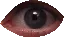 eyesee