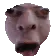 POG