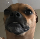 doufart Discord emoji