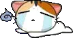 _neko_Nooo