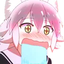 RankaDrool