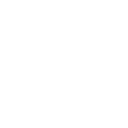 ico_HLLMic