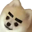 winkyboii