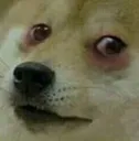 DogeSick Discord Emoji