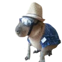 capivara2