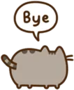Bye