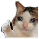emoji_44
