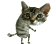 Catshake CatShake Discord Emoji