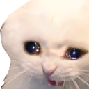 sadcat Discord emoji
