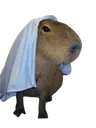 capivara5