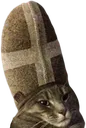 catpope Discord Emoji