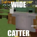 widecatter