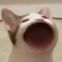 AA