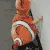 orange_soufofinmsm_REI
