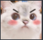 A_catblushy Discord emoji