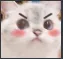A_catblushy