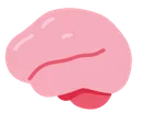 SmooveBrain