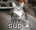 sup