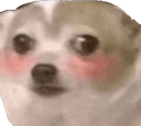 LcoNoMeHablesConEseTonoDePiel Discord emoji