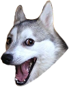 puppy Discord emoji
