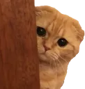catlurk2