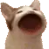 w_popcat