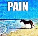 SKPain
