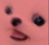 cachorrinfrenetico Discord emoji