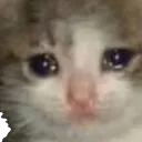 sadcat Discord Emoji